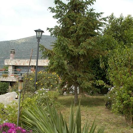 B&B La Vecchia Scuola Sonnino Eksteriør bilde