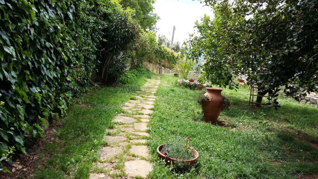 B&B La Vecchia Scuola Sonnino Eksteriør bilde